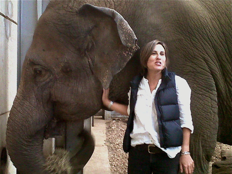 Meredith Ogilvie Thompson 1